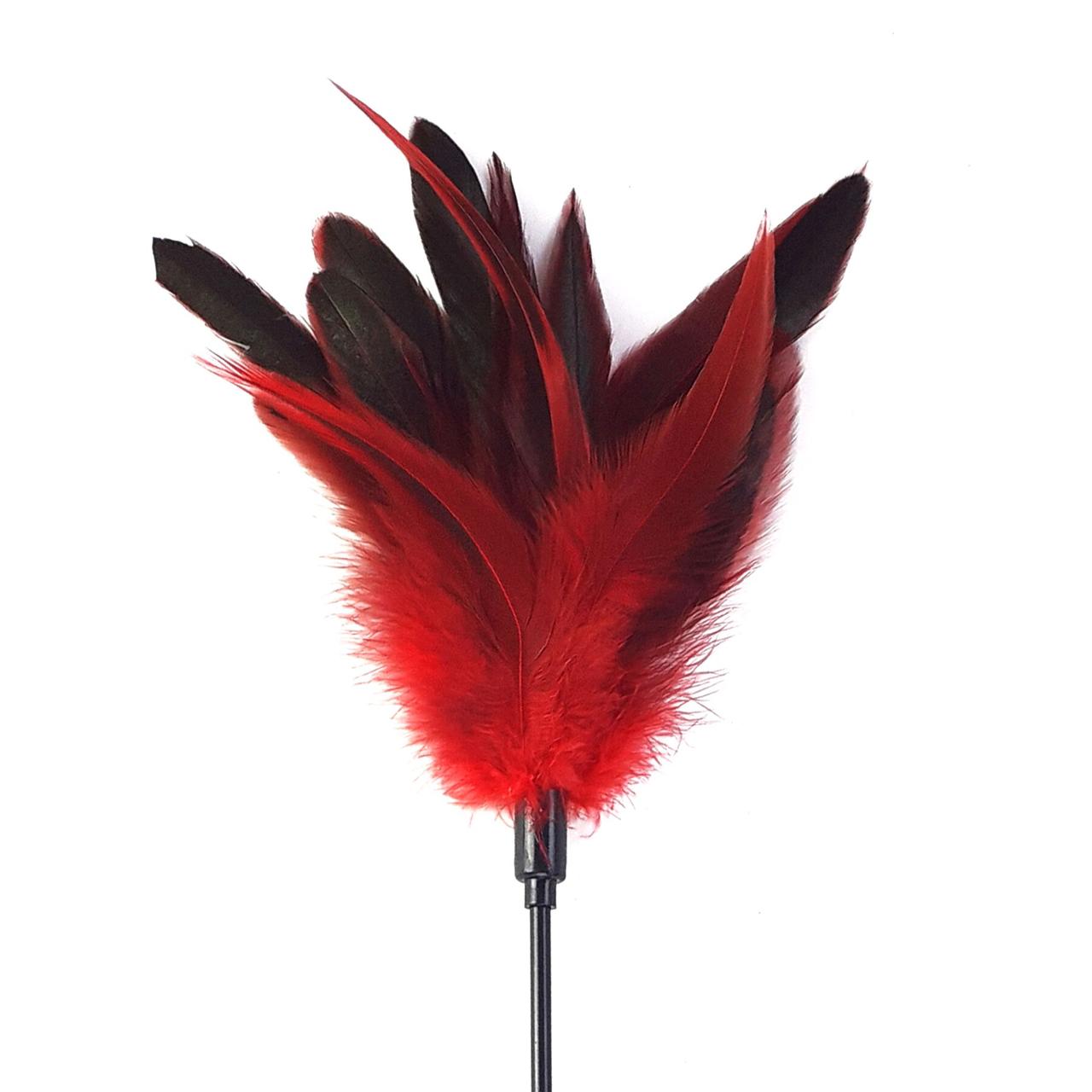 Лоскіт з пером півня Art of Sex – Feather Paddle, червона в DIDO