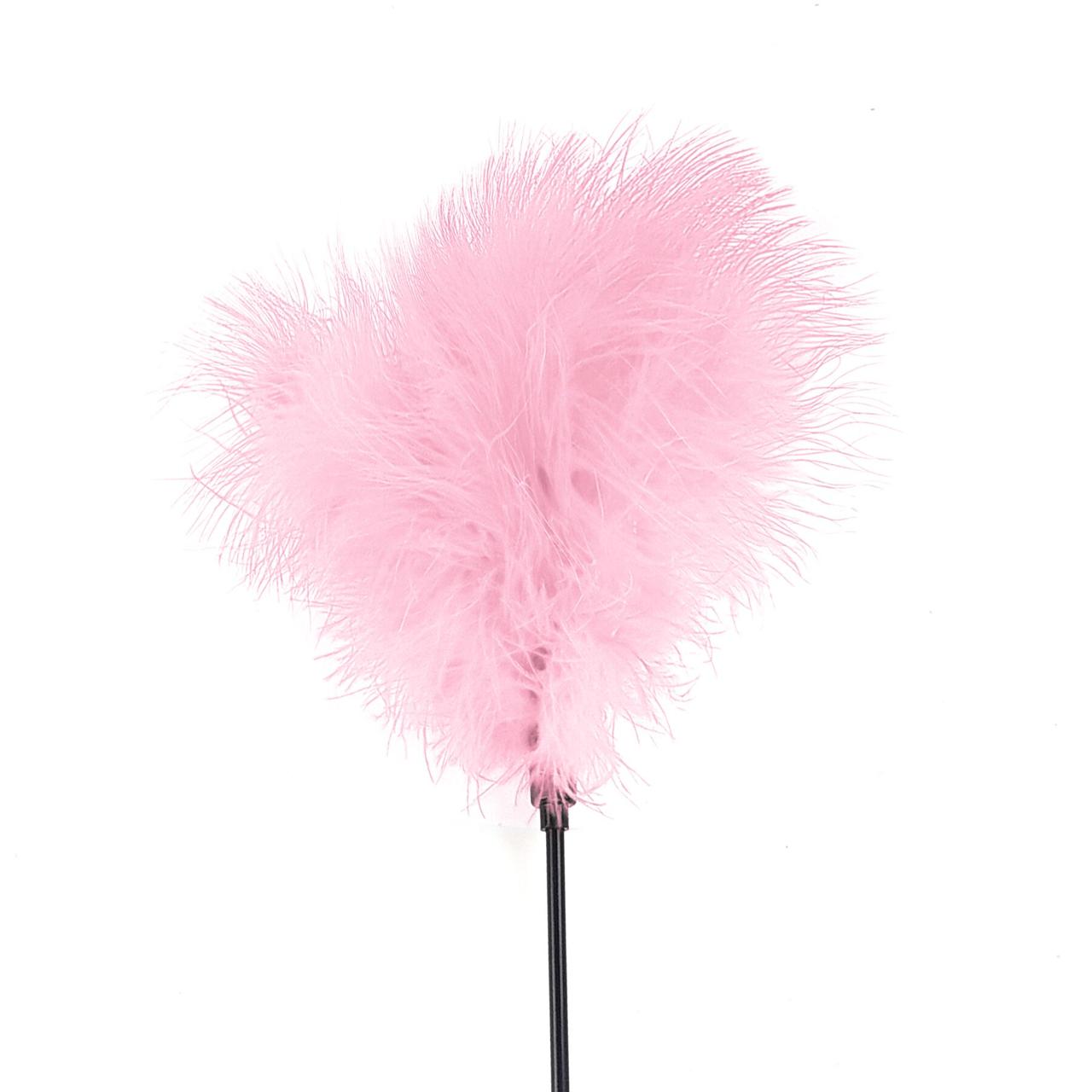 Лоскіт з пером індика Art of Sex – Feather Paddle, рожева в DIDO