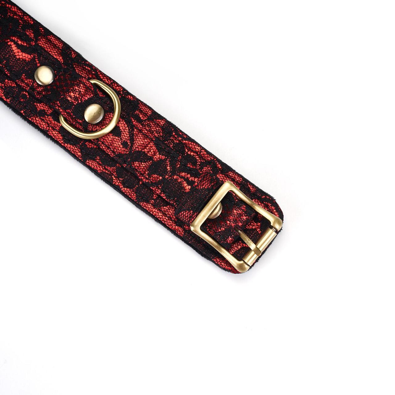 Нашийник з повідцем Liebe Seele Victorian Garden Collar with Leash в DIDO
