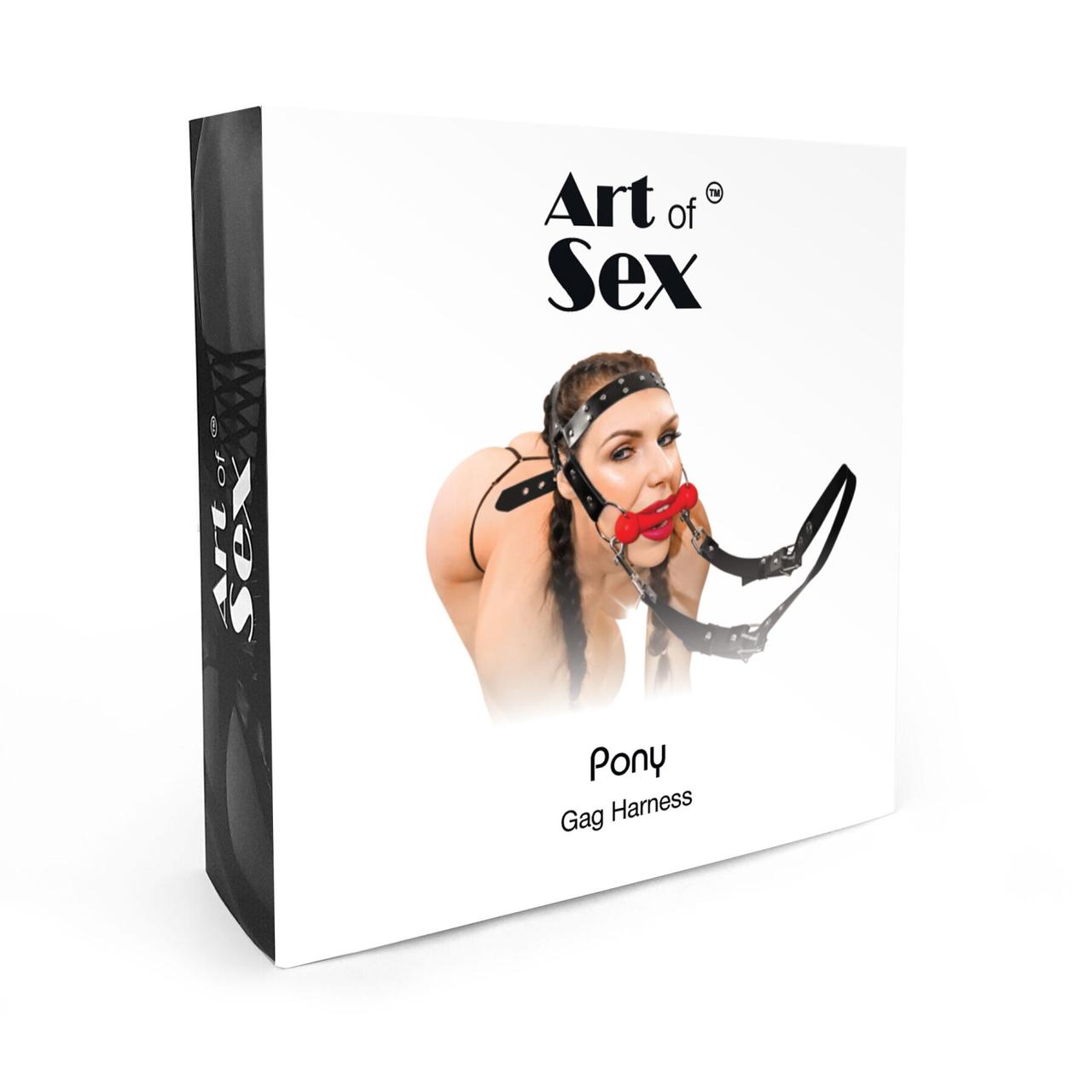 БДСМ кляп-упряжка  Art of Sex - BDSM Gag Harness Pony в DIDO