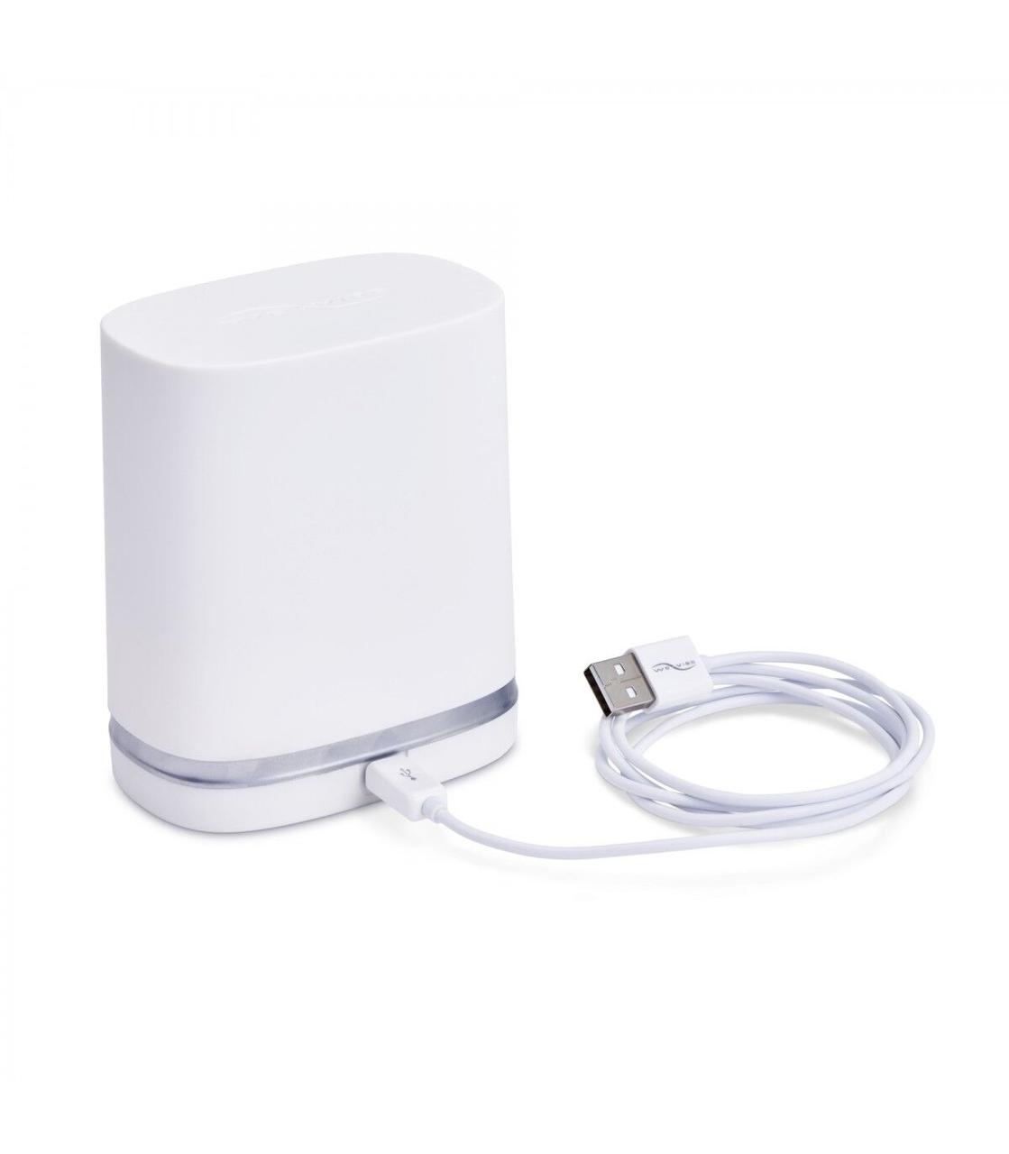 Дорожній футляр та кабель для заряджання Chorus by We-Vibe — Charger & Travel Case w/USB Cable у DIDO