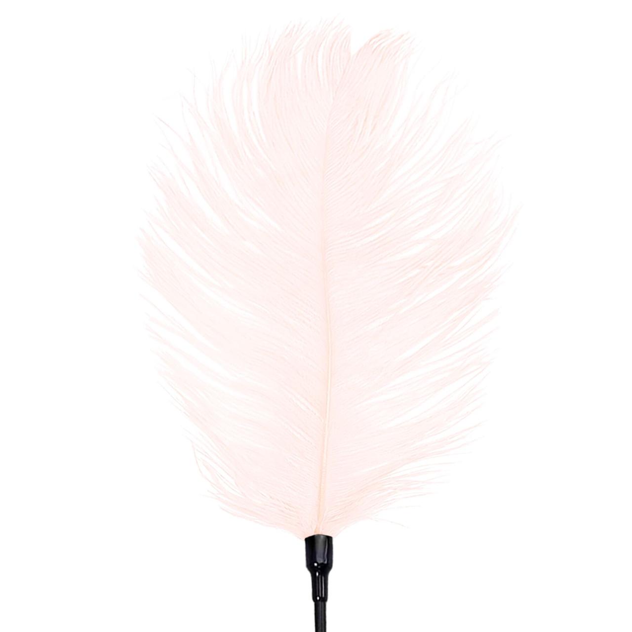 Щекоталка со страусиным пером Art of Sex – Feather Tickler, светло-розовая в DIDO