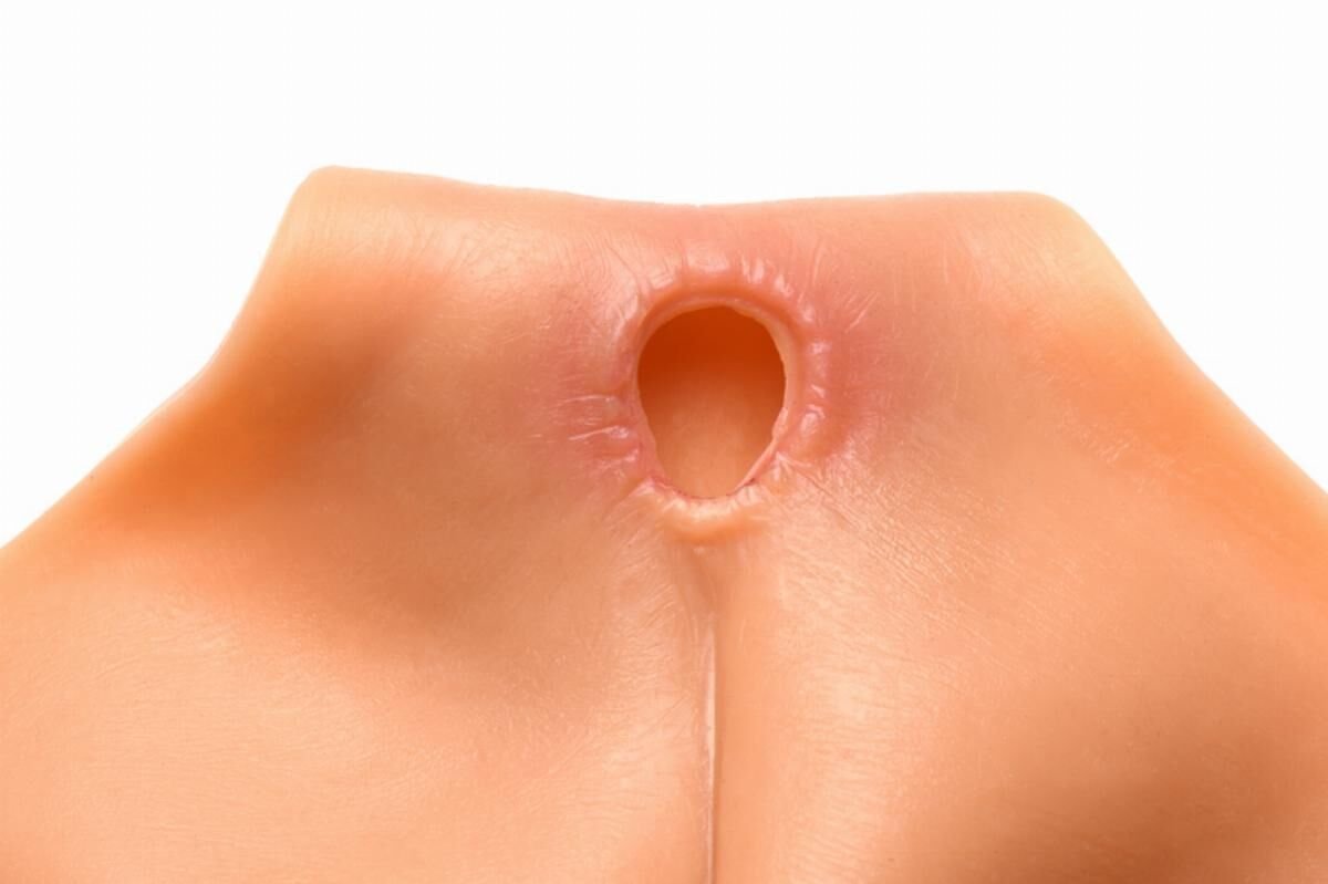 Накладна вагіна Master Series Silicone Vagina + Butt Panties - Large - Зображення 4